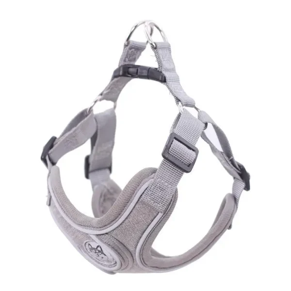 Harness Leash - Image 3