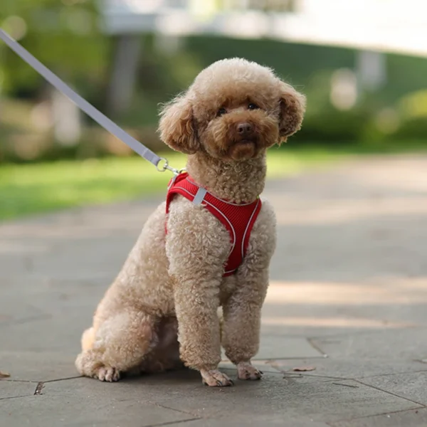 Bubby - Image 3