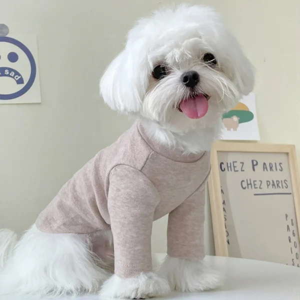 Molly - Image 4