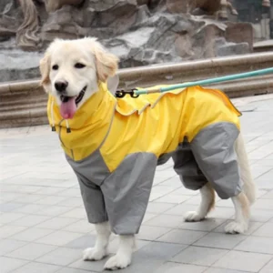 Raincoat