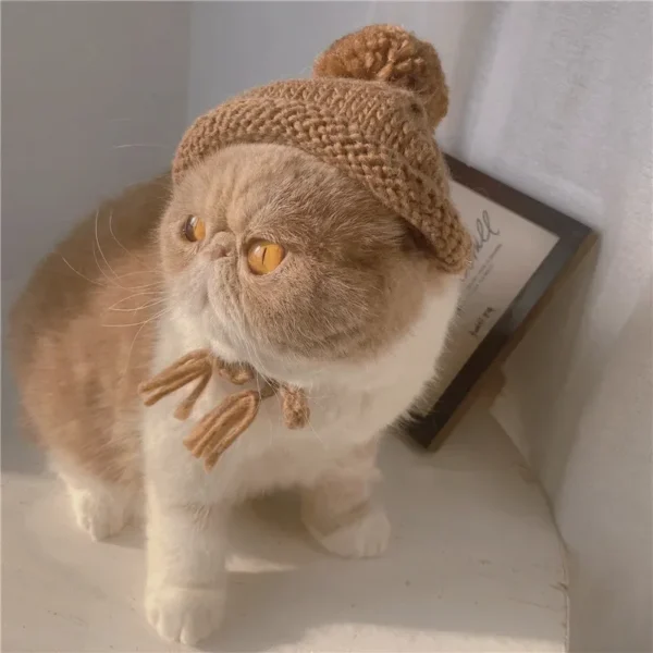 Woolen Hat - Image 2