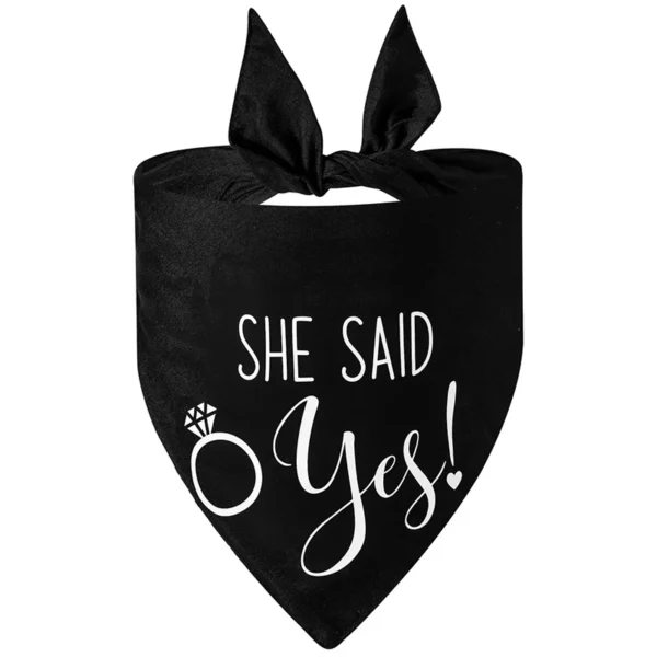 Catchy - Image 5