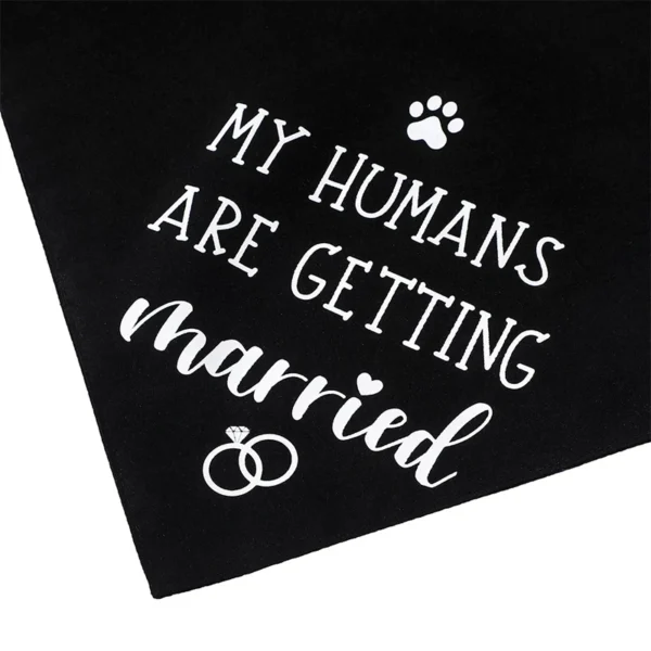 Catchy - Image 6