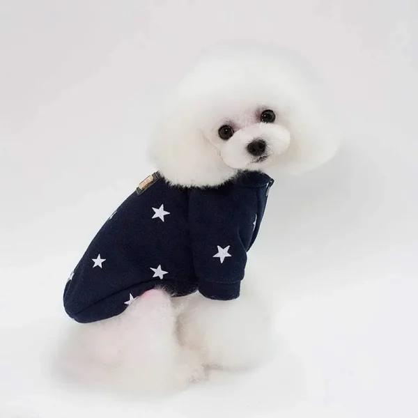Stars - Image 2