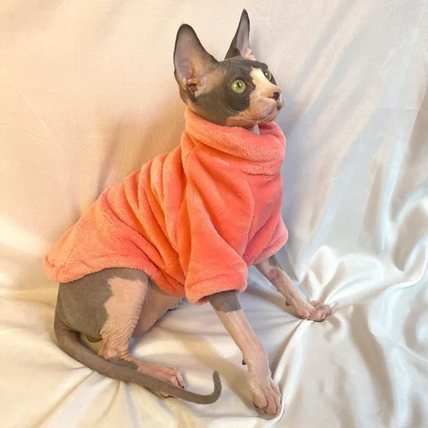 Lily - Image 4