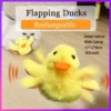flapping-duck