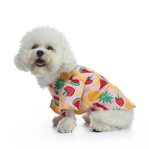 Fruity - Image 3