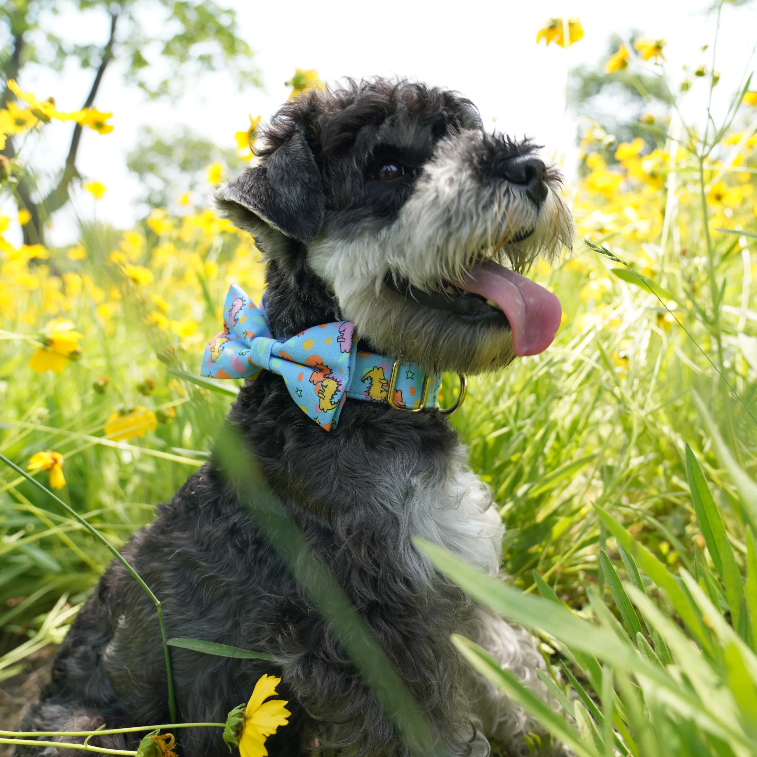 Little Dino - Image 2