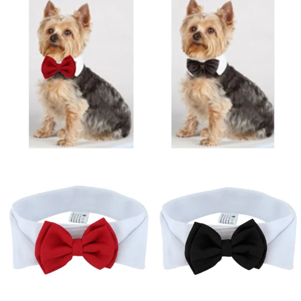 Tie - Image 4