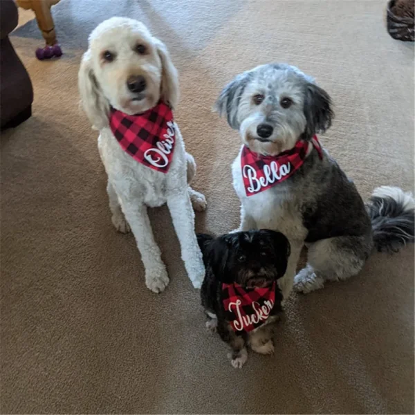 Personalized Bandana - Image 5