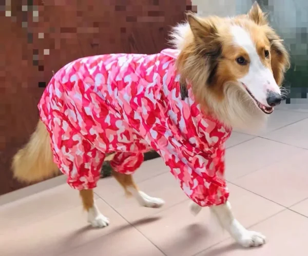 Raincoat - Image 2