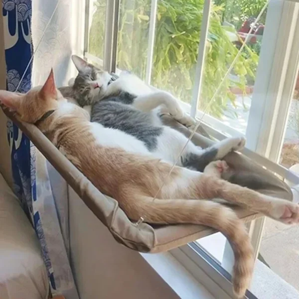 Hanging Bed