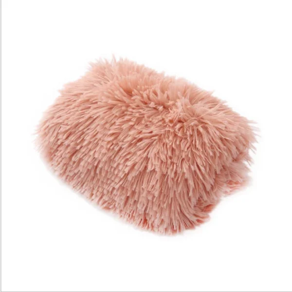 Petal - Image 4