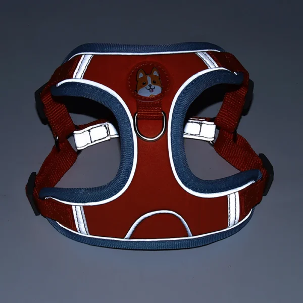 Loki - Image 3
