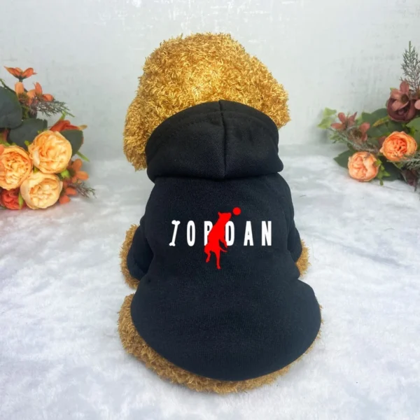 Jordan - Image 4