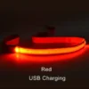 red-usbcharging