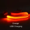 orange-usbcharging