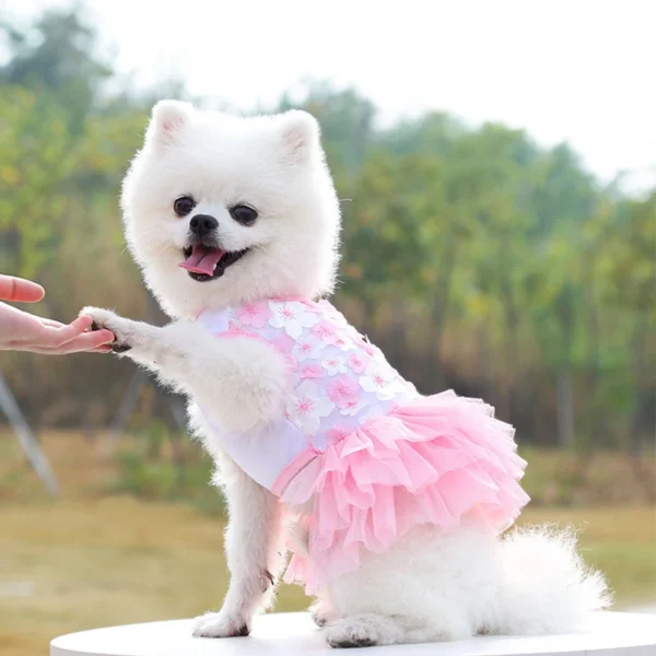 Pinky Flower - Image 2