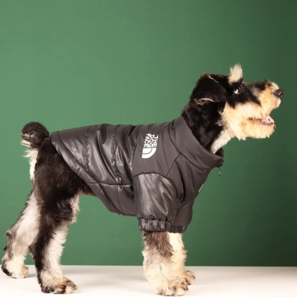 Tucker - Image 2