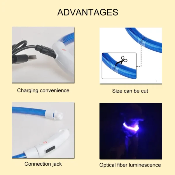 Luminous - Image 4