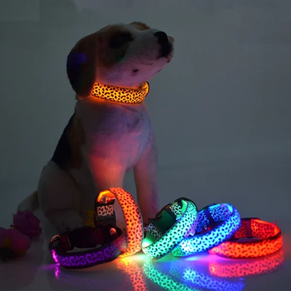 Luminous
