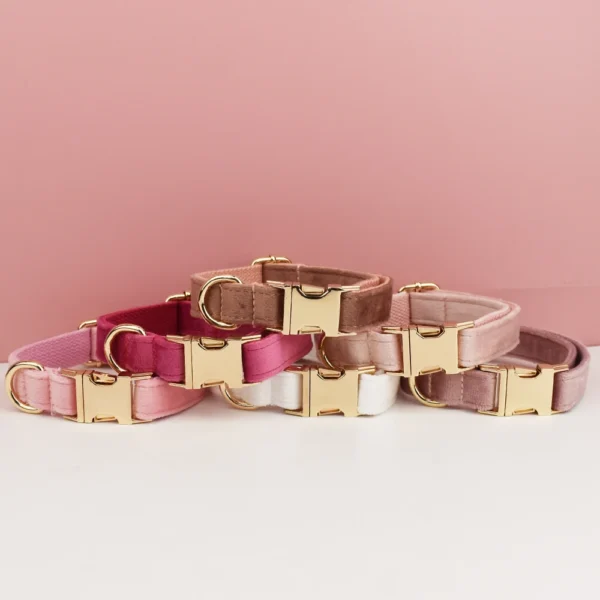 Meissa - Image 4