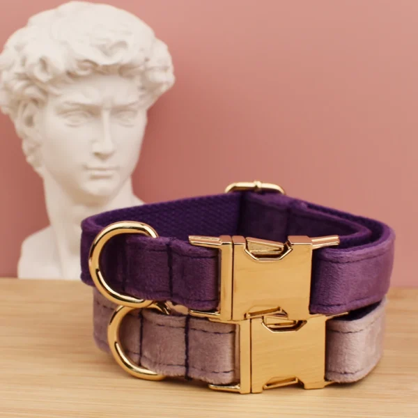 Meissa - Image 5