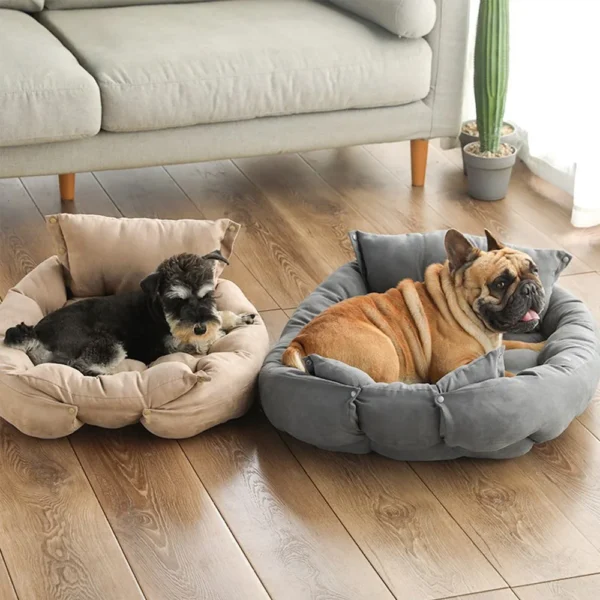 Bed Sofa - Image 2