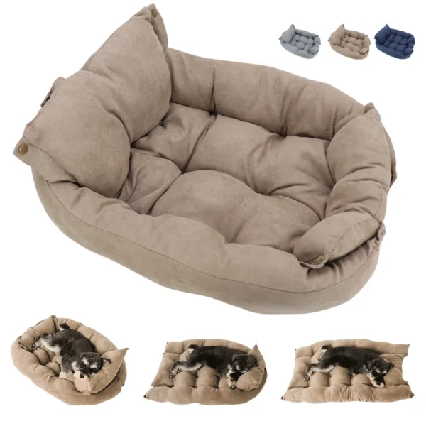 Bed Sofa