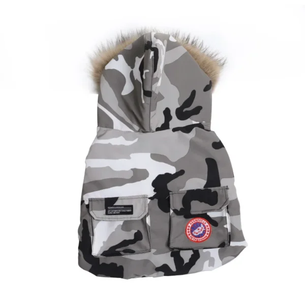 Army - Image 5