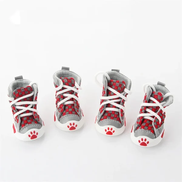 Paw - Image 4