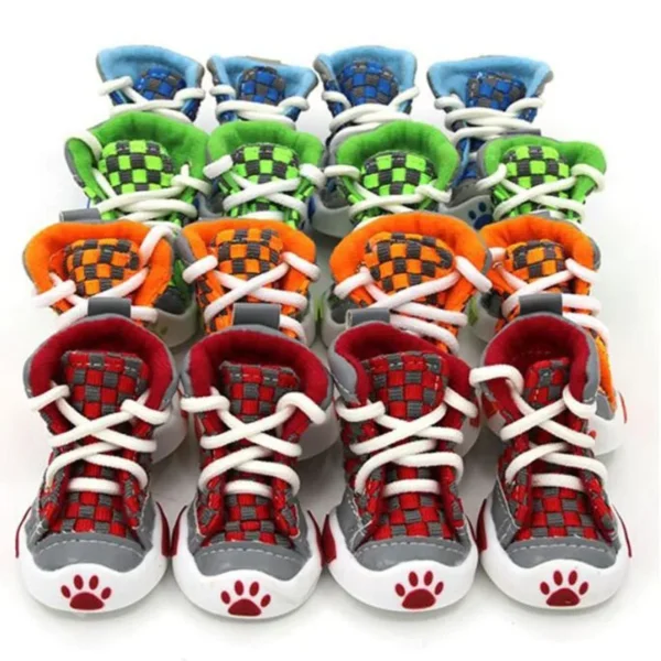 Paw - Image 5