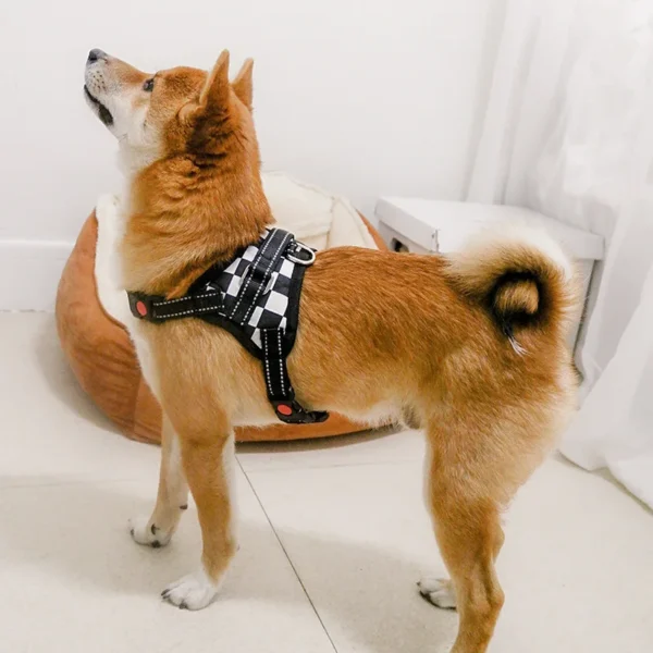 Fuzzlet - Image 3
