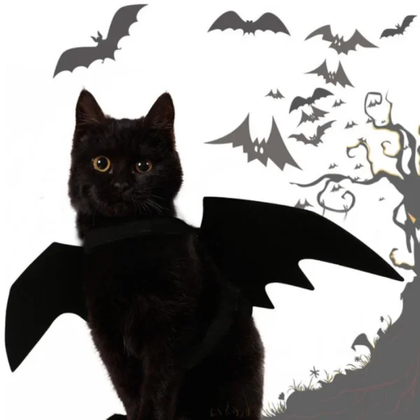 Baty - Image 2