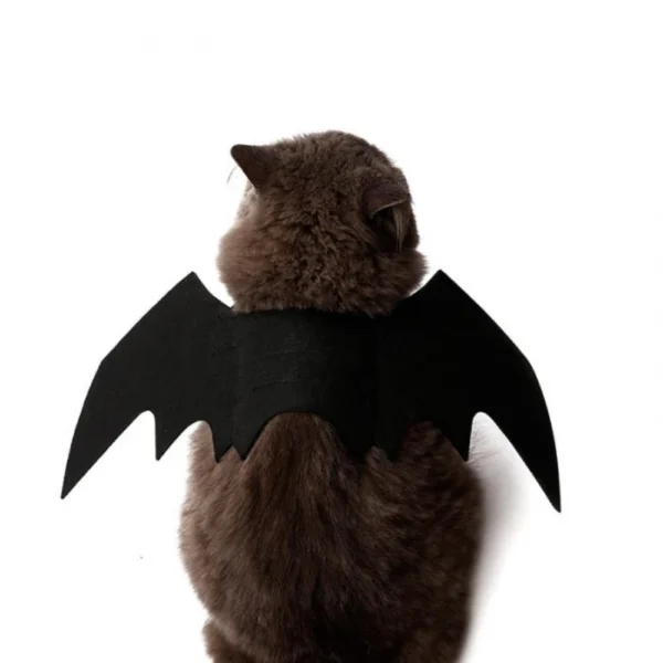 Baty - Image 3