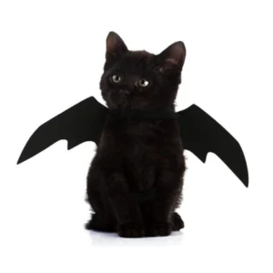 Bat
