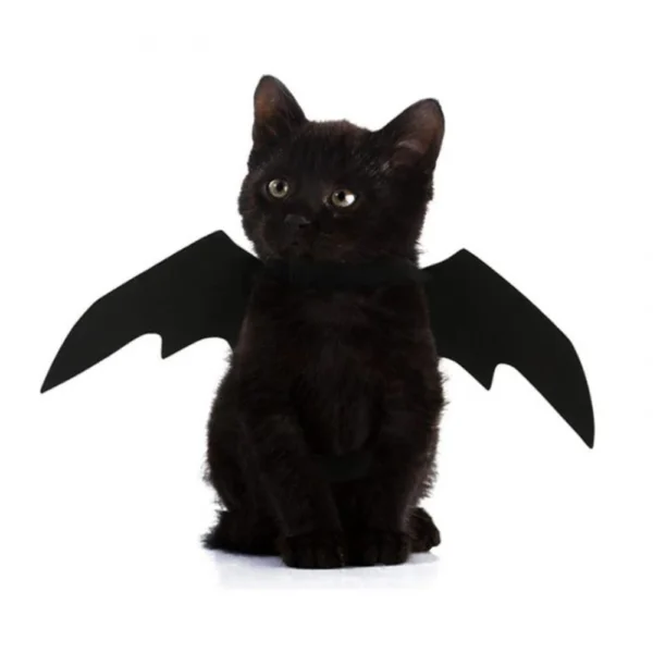 Baty