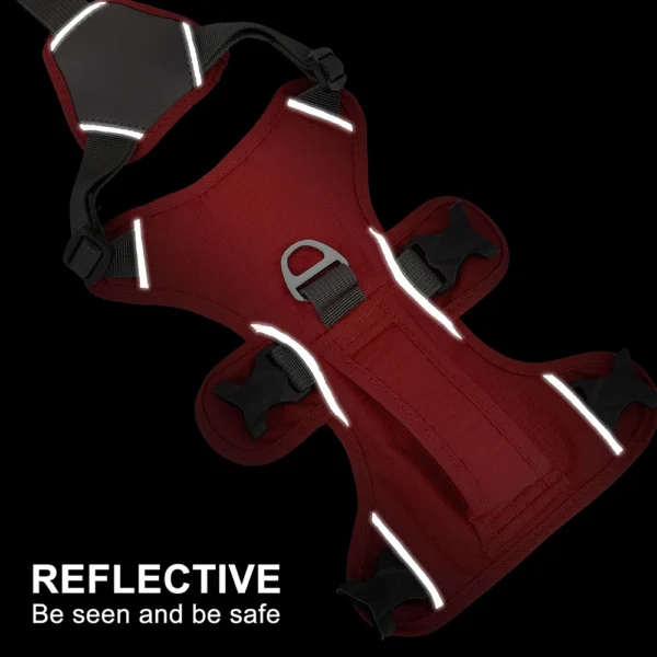 Gamma - Image 3