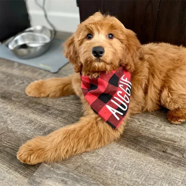 Personalized Bandana - Image 3