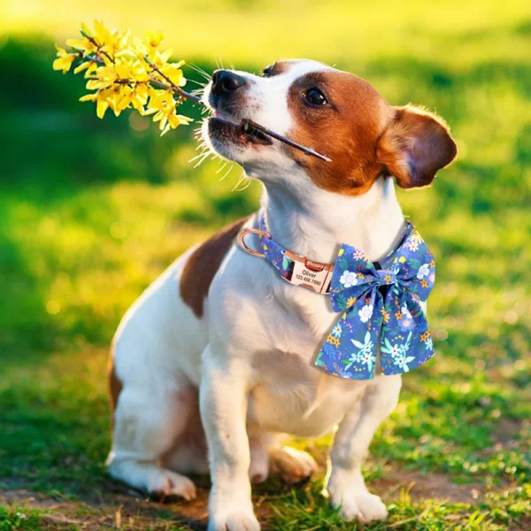 Daisy - Image 4