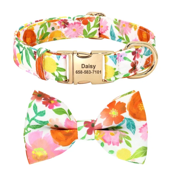 Daisy