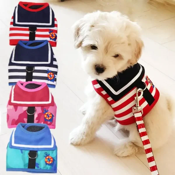 Sailor - Image 2