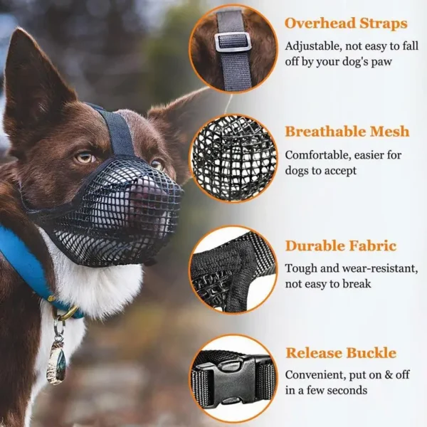 Muzzles - Image 4