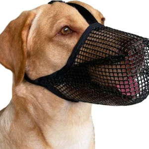 Muzzles