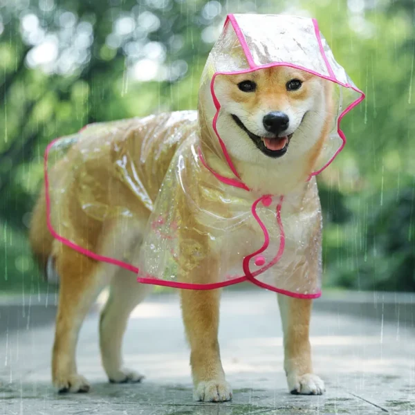 Raincoat - Image 4