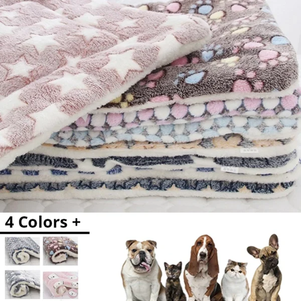 Pawsitively - Image 4