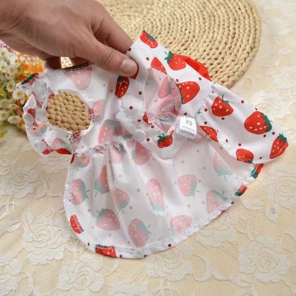 Strawberry - Image 2