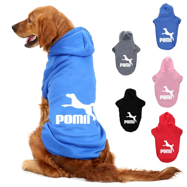 PomA - Image 2