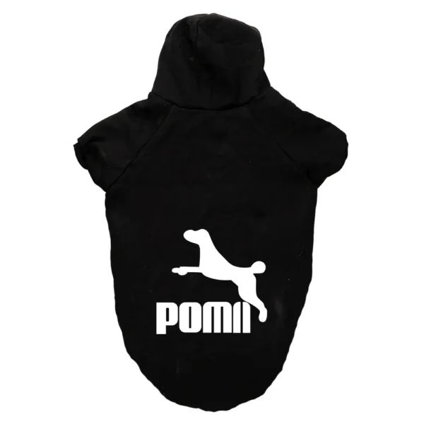 PomA