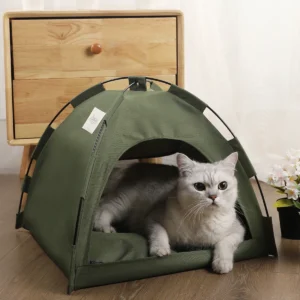 Tent Bed